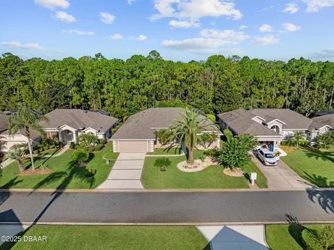 View/Area - 1234 Hampstead Ln, Ormond Beach, FL 32174 photo 9 of 19