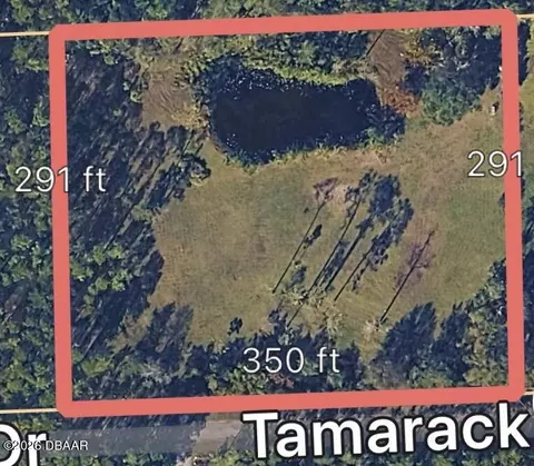 3642 Tamarack Dr, Ormond Beach, FL 32174
