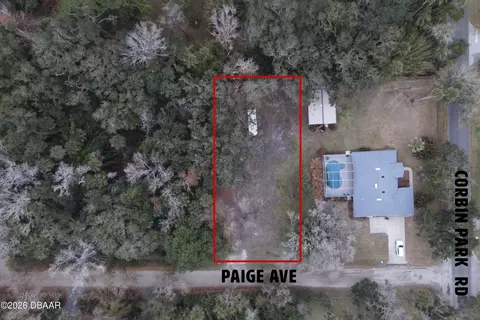 2124 Paige Ave, New Smyrna Beach, FL 32168