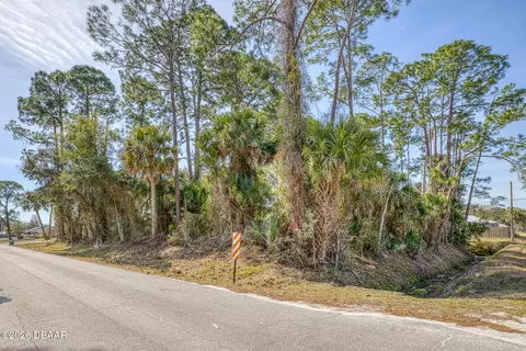 2904 India Palm Dr, Edgewater, FL 32141 photo 4
