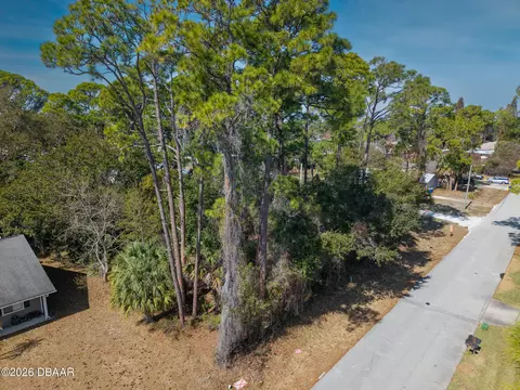 2904 India Palm Dr, Edgewater, FL 32141 photo 15