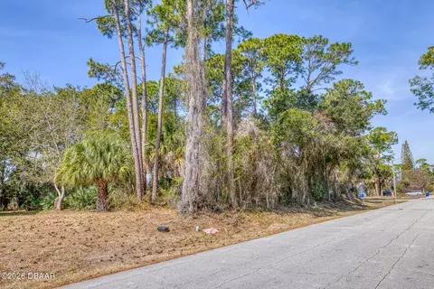 2904 India Palm Dr, Edgewater, FL 32141 photo 5