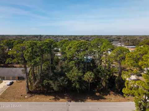 2904 India Palm Dr, Edgewater, FL 32141 photo 6