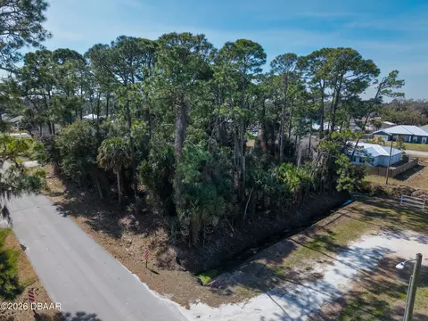 2904 India Palm Dr, Edgewater, FL 32141 photo 14
