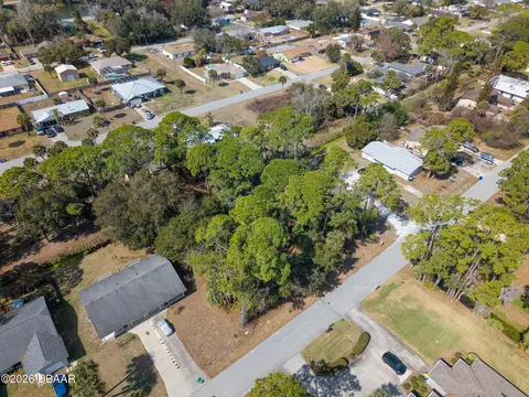 2904 India Palm Dr, Edgewater, FL 32141 photo 10