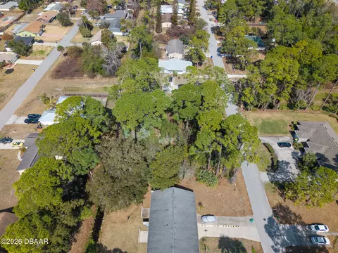 2904 India Palm Dr, Edgewater, FL 32141 photo 9