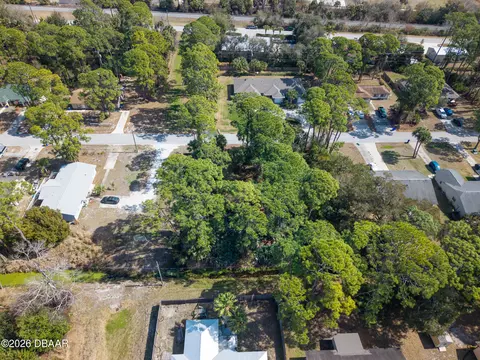 2904 India Palm Dr, Edgewater, FL 32141 photo 8
