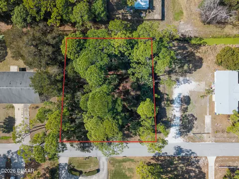 2904 India Palm Dr, Edgewater, FL 32141 photo 13