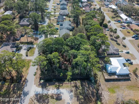 2904 India Palm Dr, Edgewater, FL 32141 photo 7