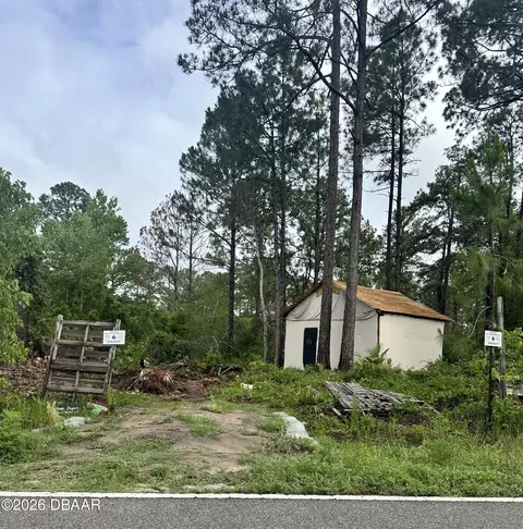 0 Reynolds Rd, Deleon Springs, FL 32130