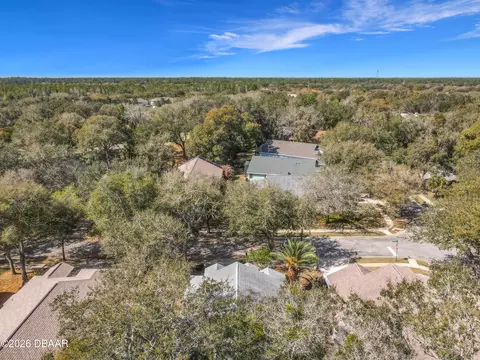 3225 Lienster Cir, Ormond Beach, FL 32174 photo 44