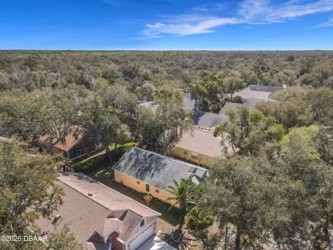3225 Lienster Cir, Ormond Beach, FL 32174 photo 42