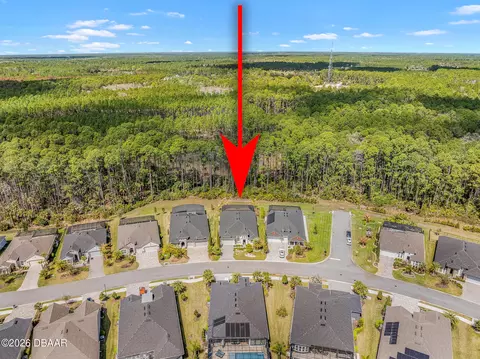 View/Area - 352 Stirling Bridge Dr, Ormond Beach, FL 32174 photo 5 of 11