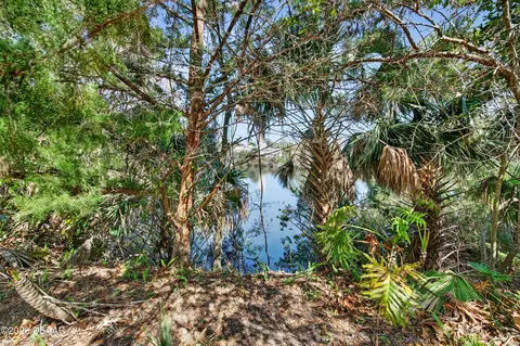 View/Area - 11 Ridge Trl, Ormond Beach, FL 32174 photo 2 of 5