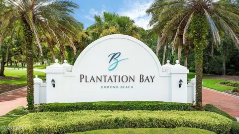View/Area - 513 Wingspan Dr, Ormond Beach, FL 32174 photo 2 of 21
