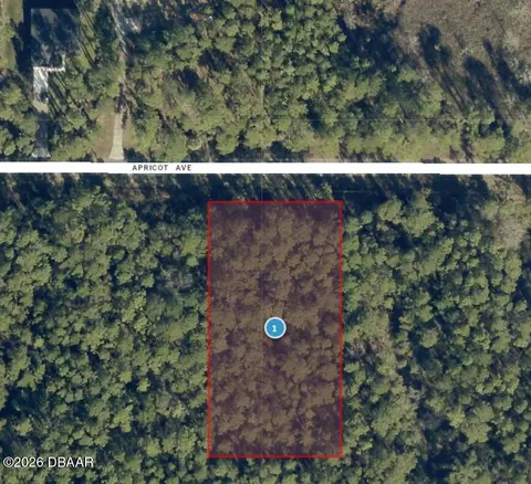 0 Apricot Ave, Eustis, FL 32736 photo 7