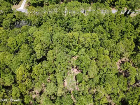 0 Apricot Ave, Eustis, FL 32736 photo 4