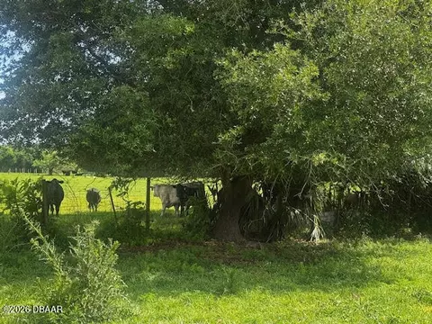 0 N Tymber Creek Rd, Ormond Beach, FL 32174 photo 3