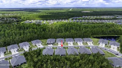 View/Area - 51 Wrendale Loop, Ormond Beach, FL 32174 photo 3 of 8
