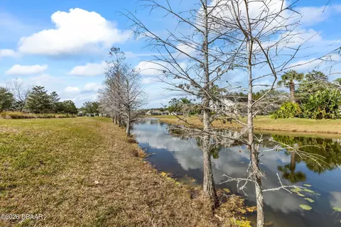 View/Area - 21 Forest View Way, Ormond Beach, FL 32174 photo 6 of 8