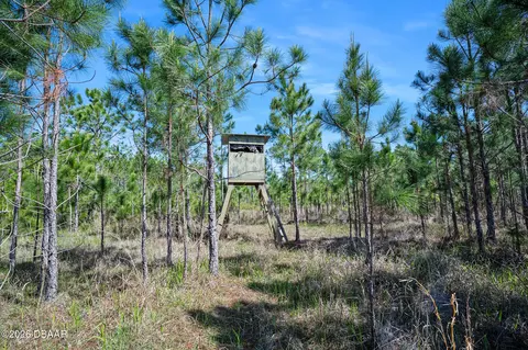 0 Carter St, Bunnell, FL 32110 photo 12
