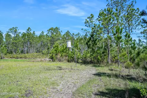 0 Carter St, Bunnell, FL 32110 photo 13
