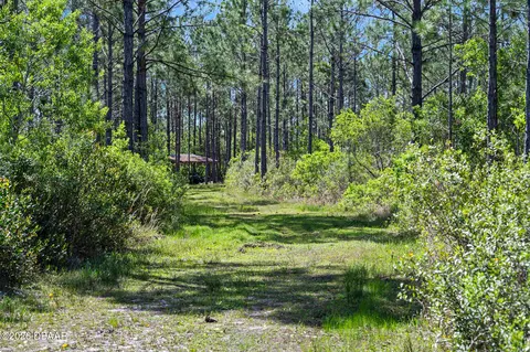 0 Carter St, Bunnell, FL 32110 photo 16