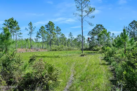 0 Carter St, Bunnell, FL 32110 photo 15