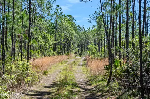 0 Carter St, Bunnell, FL 32110 photo 18