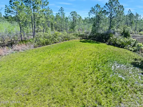 0 Carter St, Bunnell, FL 32110 photo 8