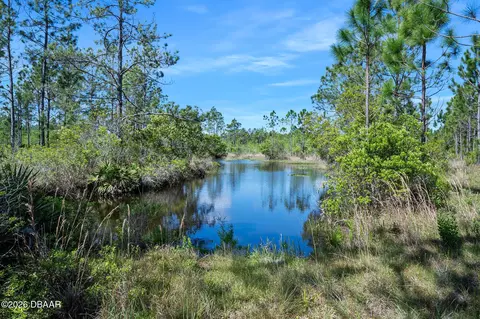 0 Carter St, Bunnell, FL 32110 photo 14