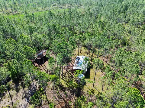 0 Carter St, Bunnell, FL 32110 photo 9