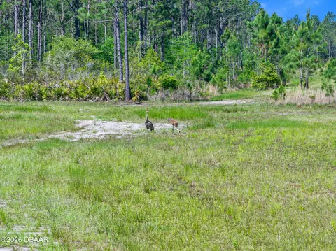 0 Carter St, Bunnell, FL 32110 photo 5