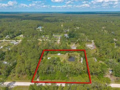 View/Area - 2122 Hazelnut St, Bunnell, FL 32110 photo 2 of 11