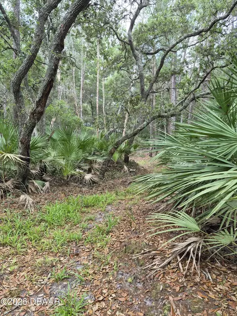 Other - 4082 Acoma Dr, Ormond Beach, FL 32174 photo 12 of 15