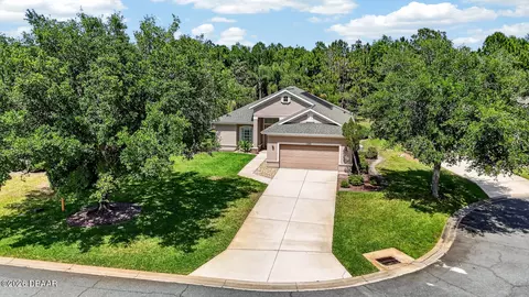 View/Area - 1203 Ashridge Ln, Ormond Beach, FL 32174 photo 1 of 14