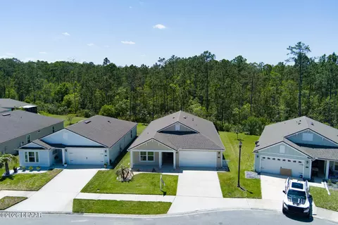 View/Area - 9 Ace Ct, Bunnell, FL 32110 photo 9 of 13