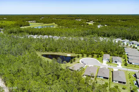 View/Area - 9 Ace Ct, Bunnell, FL 32110 photo 6 of 13
