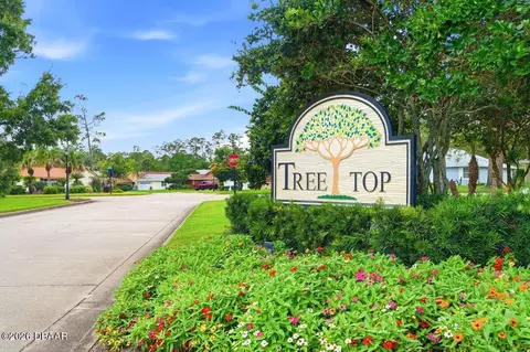 View/Area - 50 Treetop Cir, Ormond Beach, FL 32174 photo 10 of 10