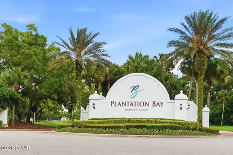 View/Area - 50 Treetop Cir, Ormond Beach, FL 32174 photo 8 of 10