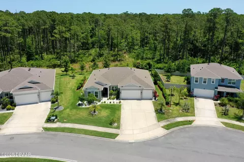 View/Area - 75 Trailmark Ct, Ormond Beach, FL 32174 photo 3 of 9