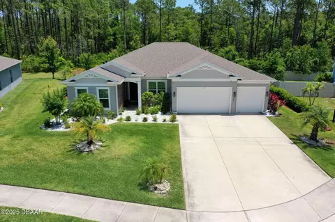 View/Area - 75 Trailmark Ct, Ormond Beach, FL 32174 photo 2 of 9