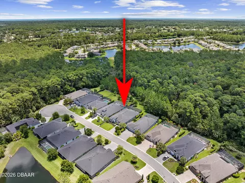 View/Area - 218 Heatherwood Ct, Ormond Beach, FL 32174 photo 9 of 17