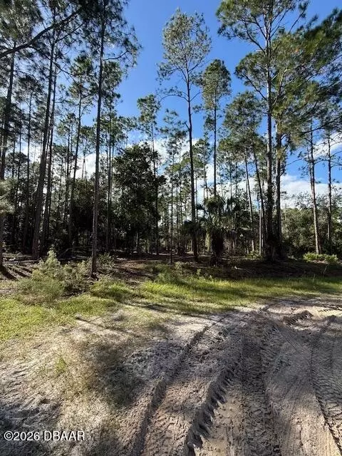 215 Hideaway Ln, Georgetown, FL 32139 photo 2