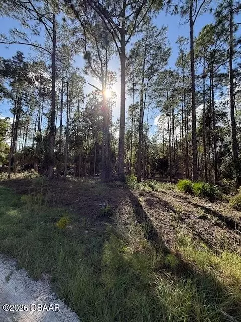 215 Hideaway Ln, Georgetown, FL 32139 photo 1
