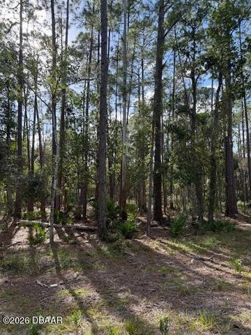 207 Ocala Ct, Georgetown, FL 32139