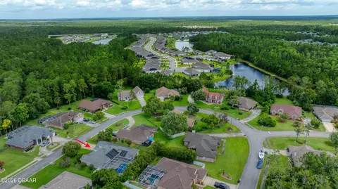 View/Area - 36 Hunt Master Ct, Ormond Beach, FL 32174 photo 8 of 8