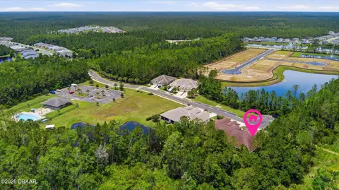View/Area - 46 Heron Wing Dr, Ormond Beach, FL 32174 photo 8 of 10