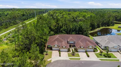 View/Area - 46 Heron Wing Dr, Ormond Beach, FL 32174 photo 3 of 10