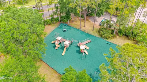 View/Area - 15 Deep Woods Way, Ormond Beach, FL 32174 photo 7 of 8